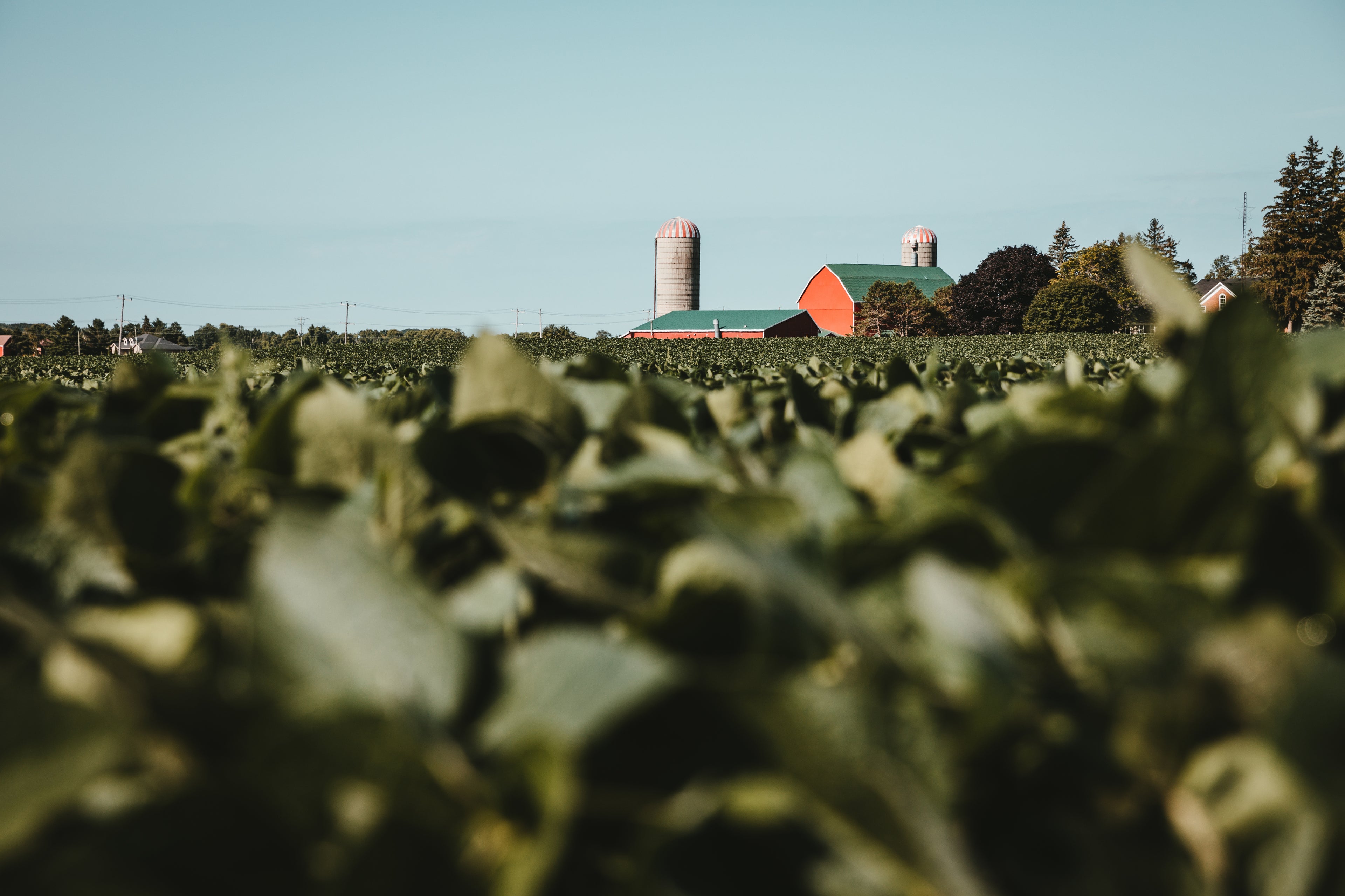 Alberta farm landscape supporting local agriculture